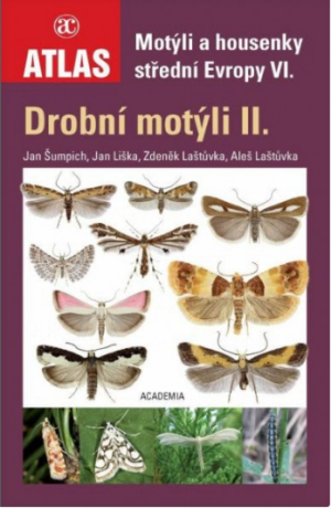 Drobní motýli II. - Motýli a housenky střední Evropy VI.