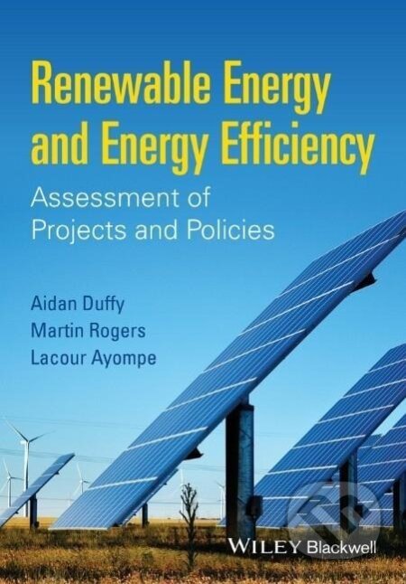 Duffy, A: Renewable Energy and Energy Efficiency