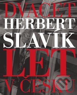 Dvacet let v Česku