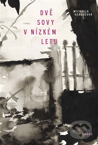 Dvě sovy v nízkém letu