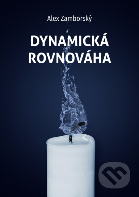 Dynamická rovnováha