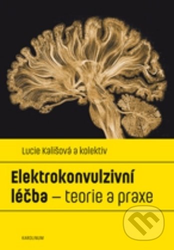 Elektrokonvulzivní léčba (- teorie a praxe)
