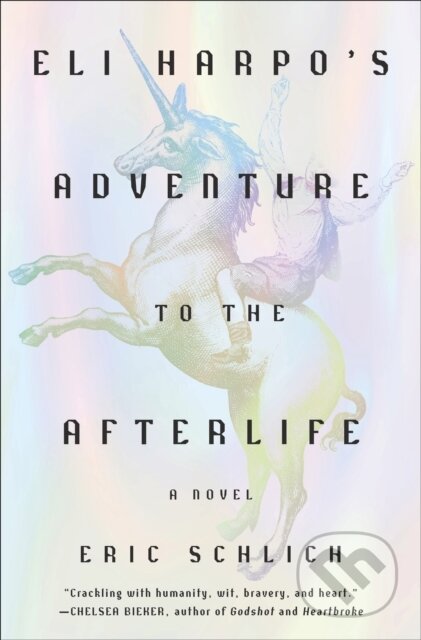 Eli Harpo's Adventure to the Afterlife (A Novel)