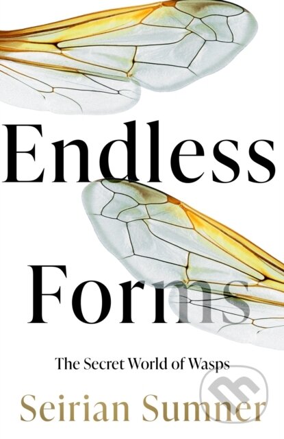 Endless Forms (The Secret World of Wasps)