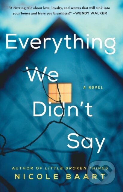 Everything We Didn't Say (A Novel)