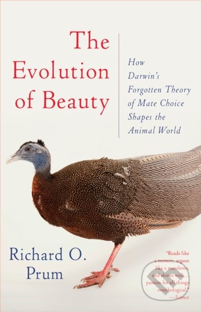 Evolution of Beauty (How Darwin's Forgotten Theory of Mate Choice Shapes the Animal World