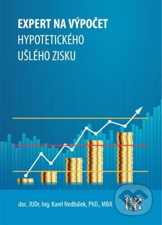 Expert na ušlý zisk, hypotetický zisk a újmu