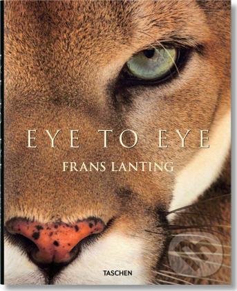 Eye to Eye
