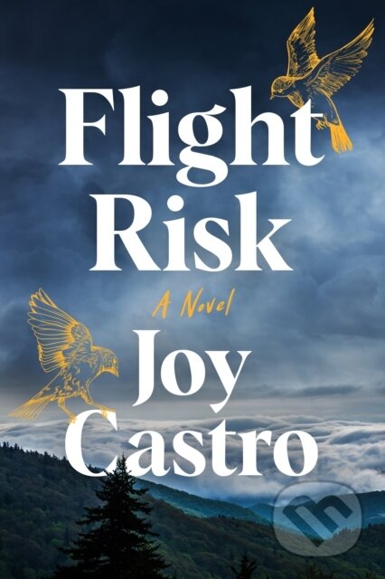 Flight Risk (A Novel)