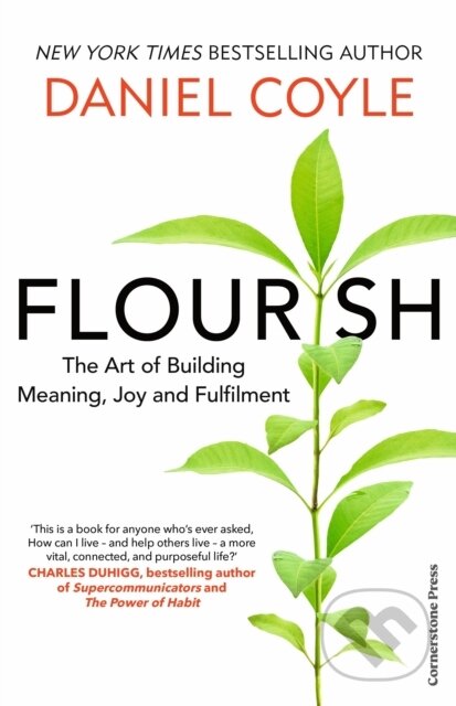 Flourish (The Art of Building Meaning, Joy and Fulfilment)