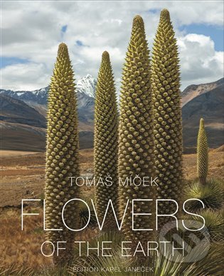 Flowers of the Earth