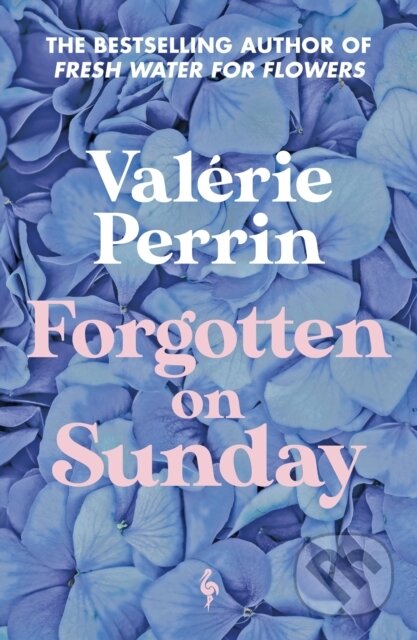 Forgotten on Sunday