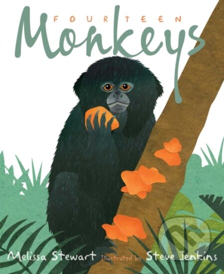 Fourteen Monkeys (A Rain Forest Rhyme)