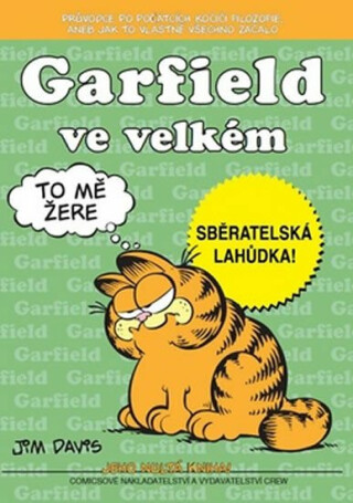 Garfield -0- ve velkém