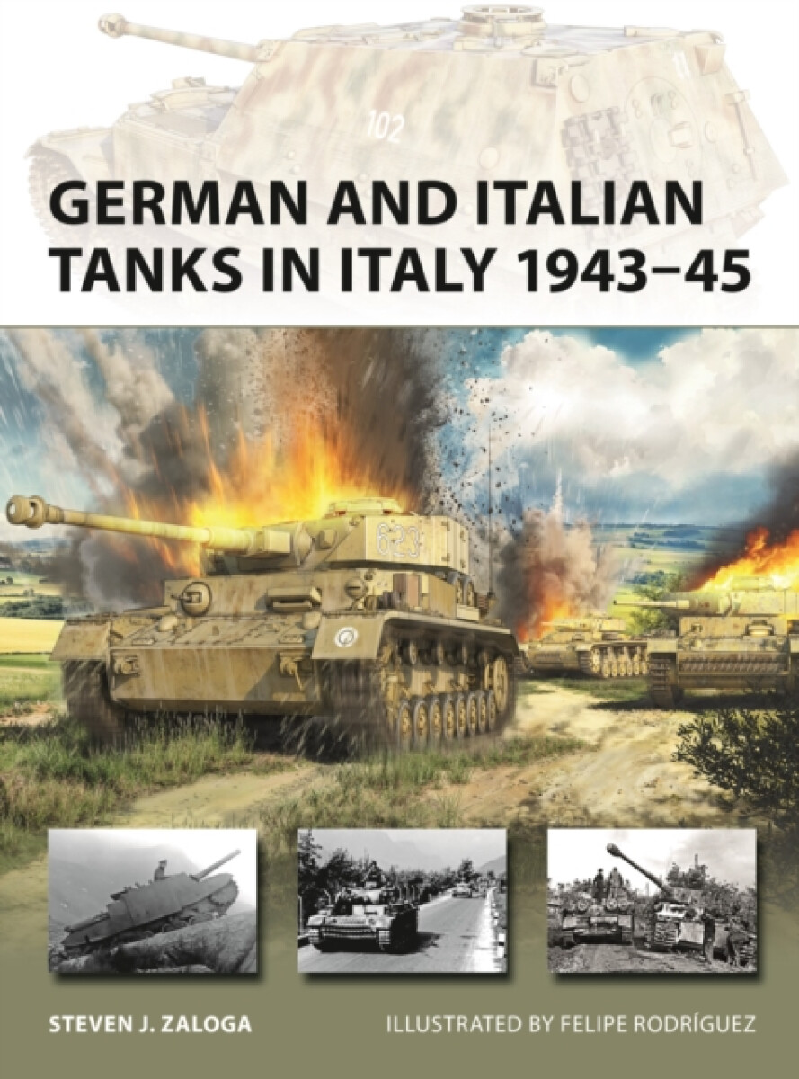 German and Italian Tanks in Italy 1943â€“45