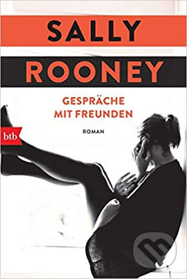 Gespräche mit Freunden: Roman