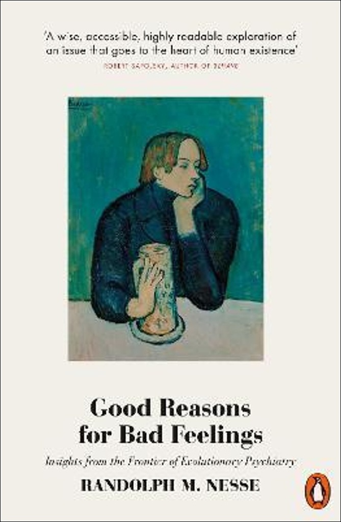 Good Reasons for Bad Feelings