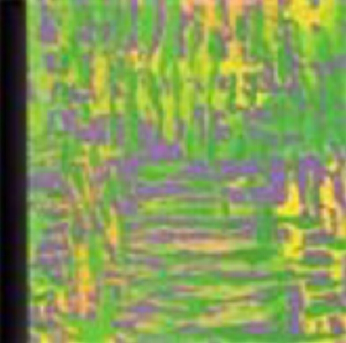 Grafika