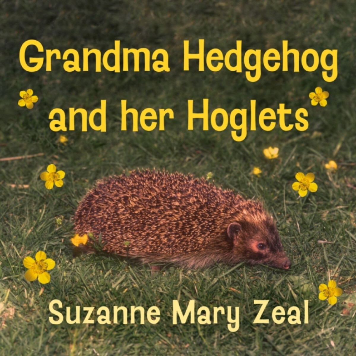 Grandma Hedgehog and Her Hoglets