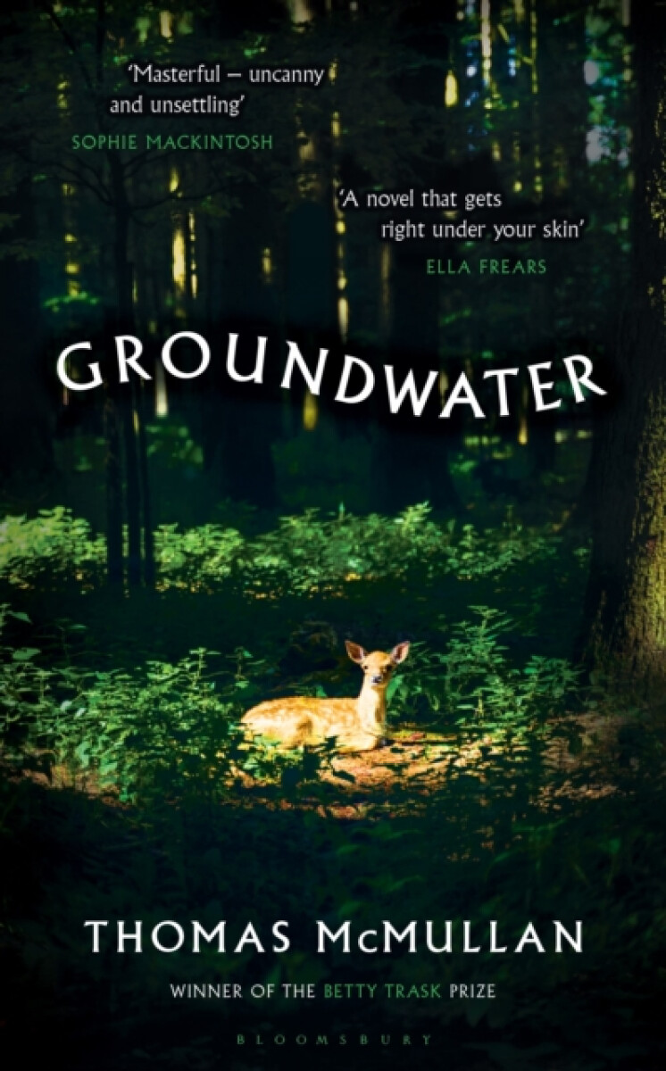 Groundwater