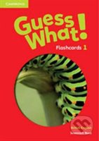 Guess What! 1 - Flashcards (pack of 95)