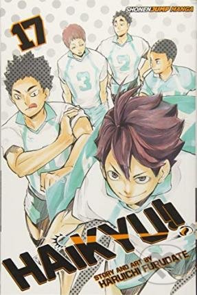 Haikyu!! 17