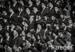 Haredim