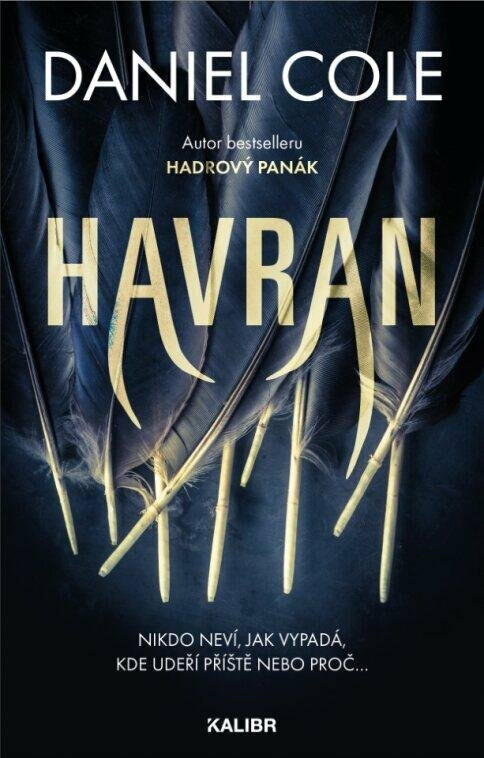 Havran (Nikdo neví, jak vypadá, kde udeří příště nebo proč.)