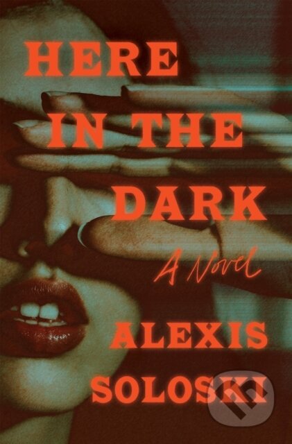 Here in the Dark (A Novel)