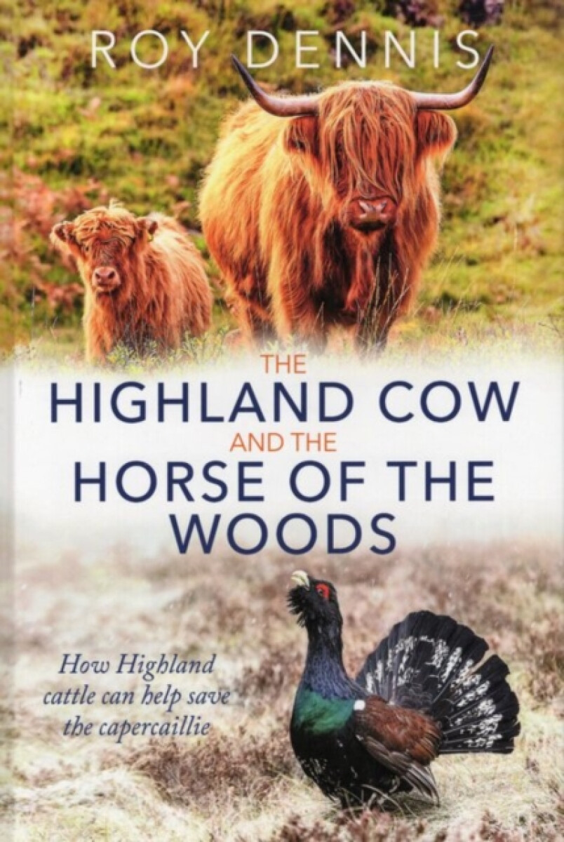 Highland Cow & the Horse of the Woods