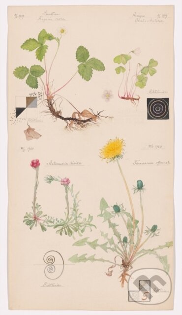 Hilma af Klint (What Stands Behind the Flowers)