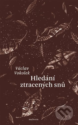 Hledání ztracených snů