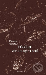 Hledání ztracených snů