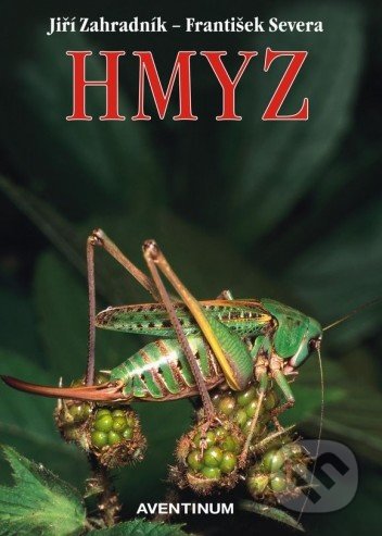 Hmyz