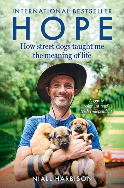Hope: How Street Dogs Taught Me the Meaning of Life
