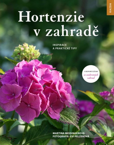 Hortenzie v zahradě (Inspirace a praktické tipy)