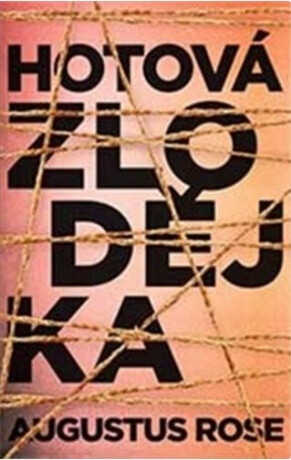Hotová zlodějka