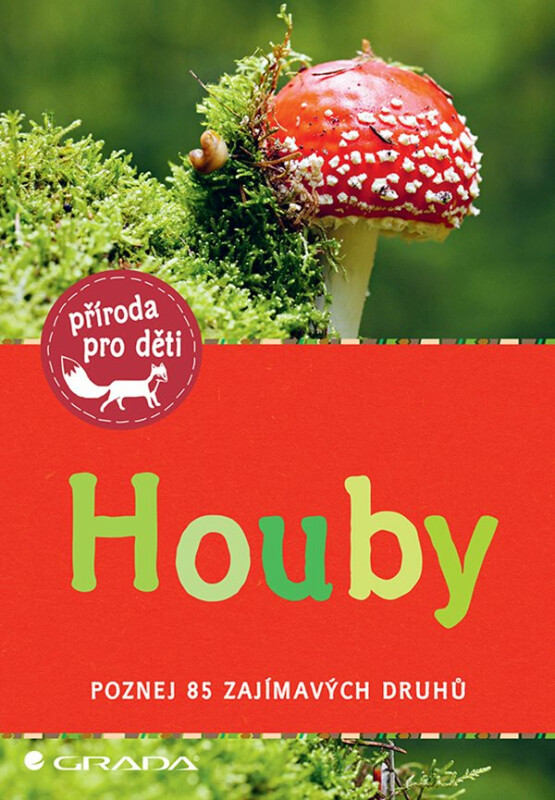 Houby - Poznej 85 zajímavých druhů - Bärbel Oftringová