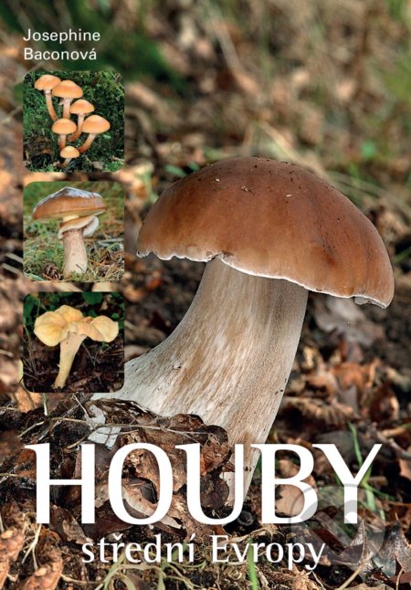 Houby střední Evropy