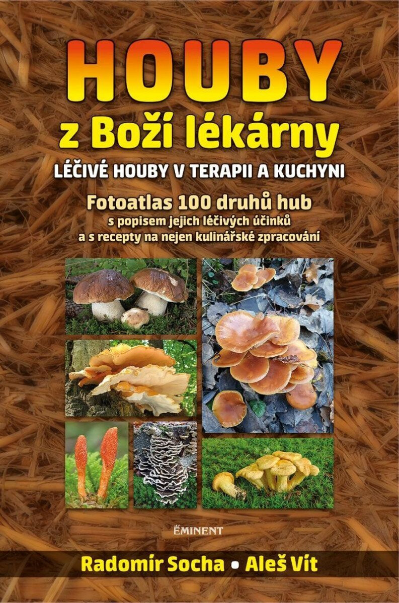 Houby z Boží lékárny - Radomír Socha, Vít Aleš
