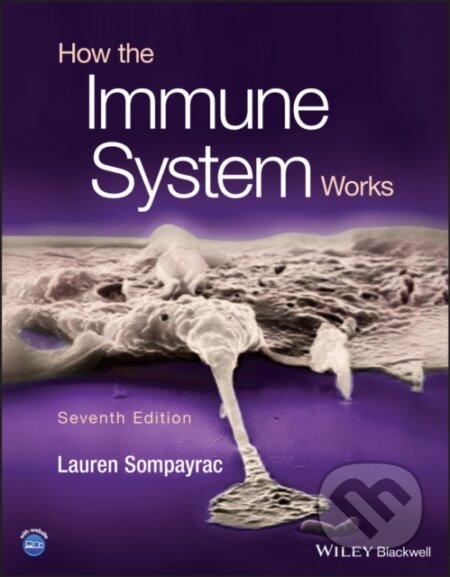 How the Immune System Works