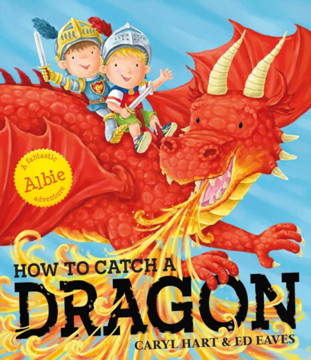 How To Catch a Dragon