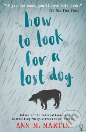 How to Look for a Lost Dog