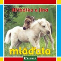 Hříbátka a jiná mláďata - kniha z kategorie Pro děti