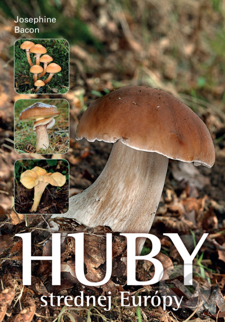 Huby strednej Európy (Kľúč na správne určenie)