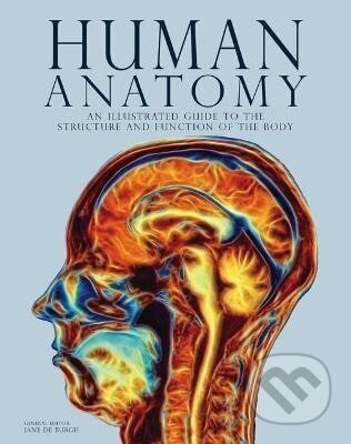 Human Anatomy