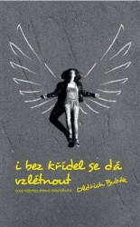I bez křídel se dá vzlétnout (nový růženec emocí dobrodruha) - kniha z kategorie Poezie