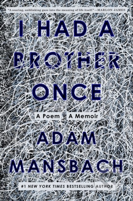 I Had a Brother Once (A Poem, A Memoir)