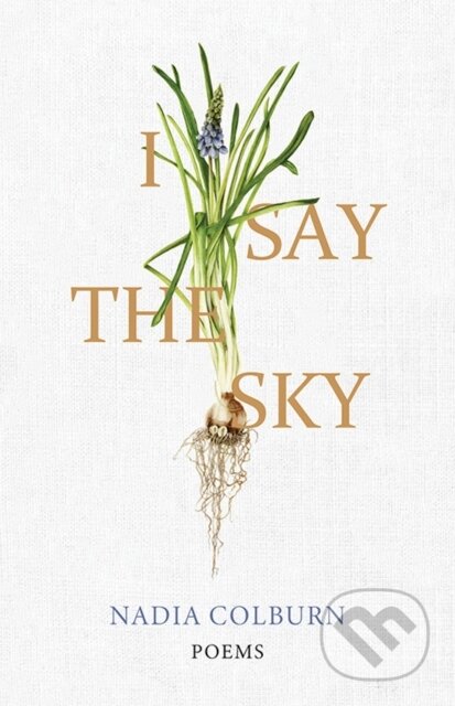 I Say the Sky (Poems)