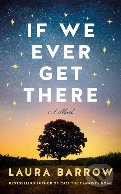 If We Ever Get There (A Novel)